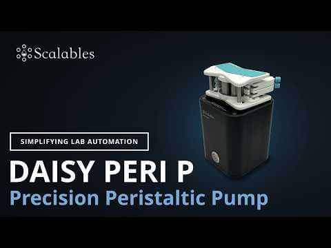Daisy Peri P Quickstart